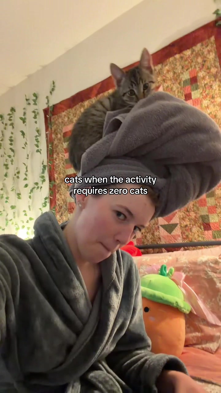 @ava