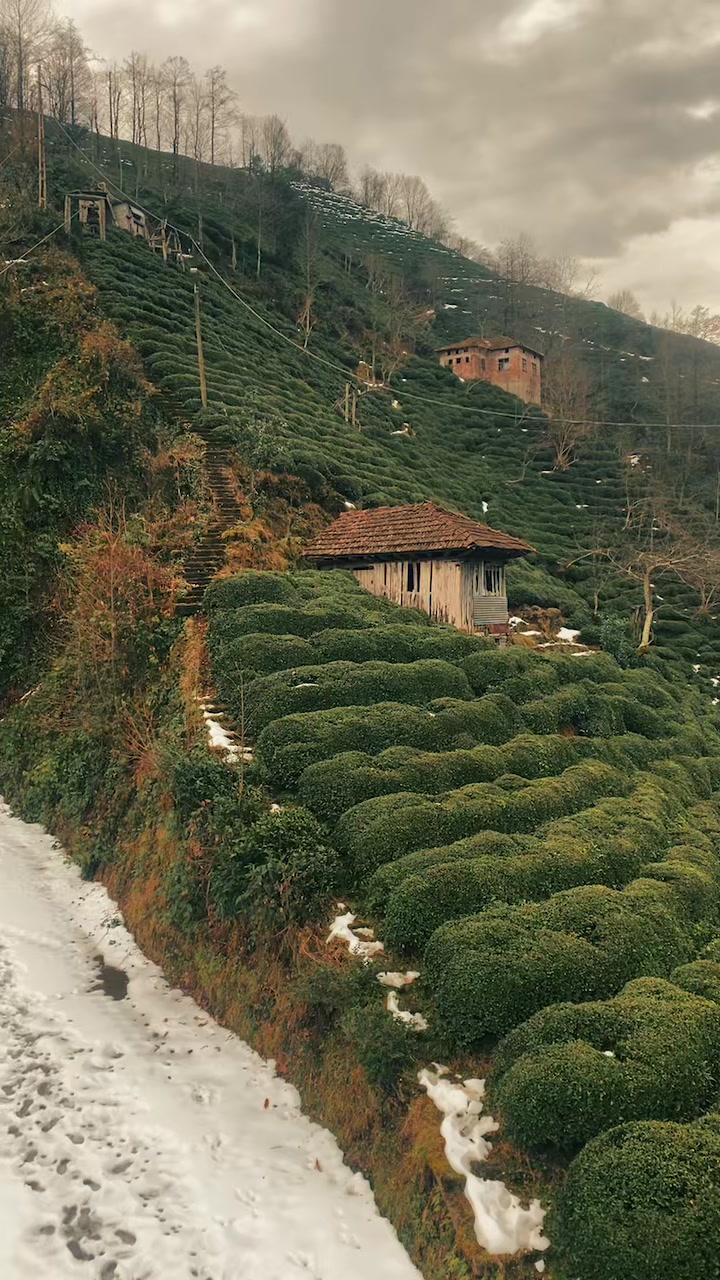 @recmolen
