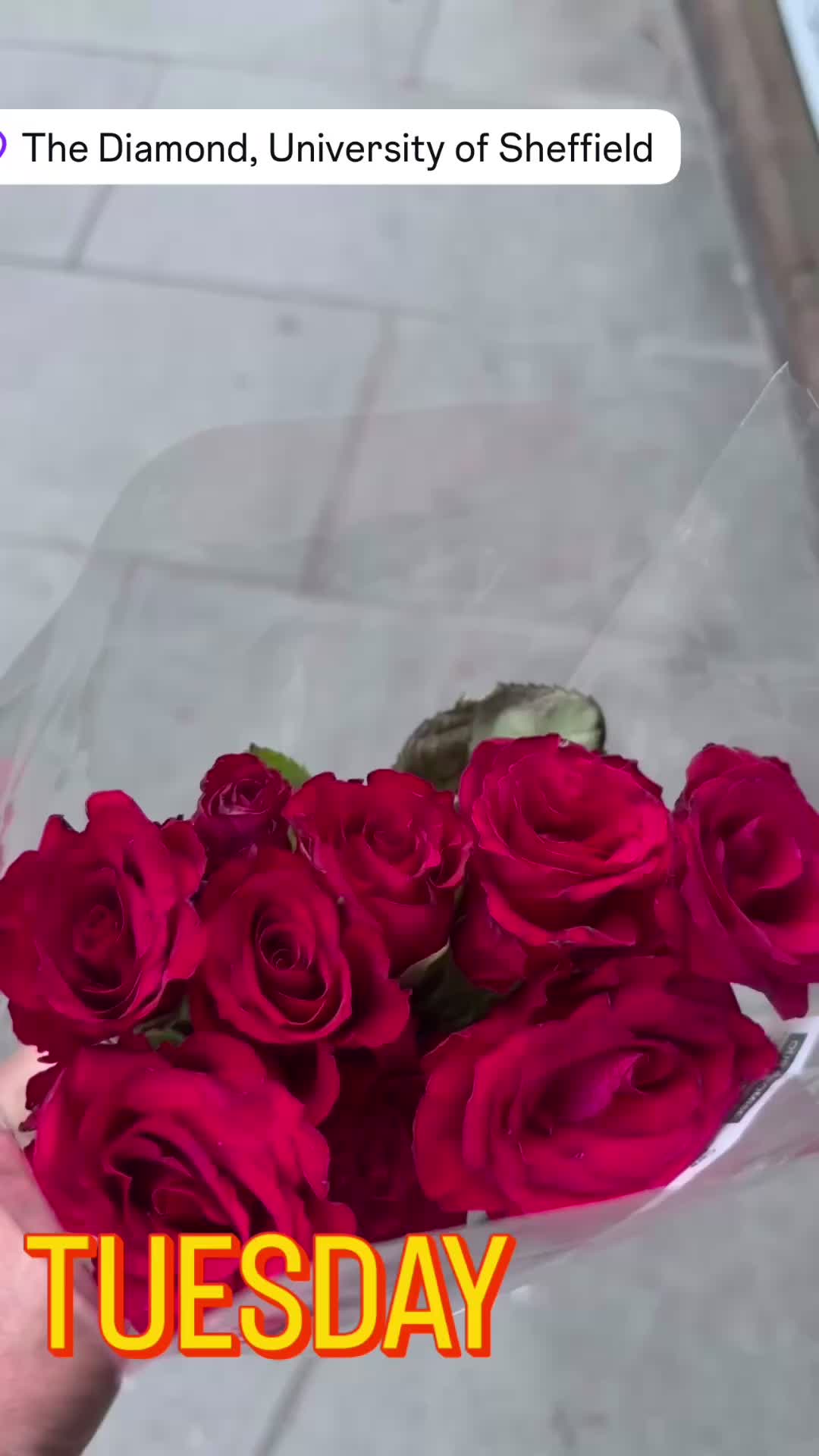 @Hasan Hussain