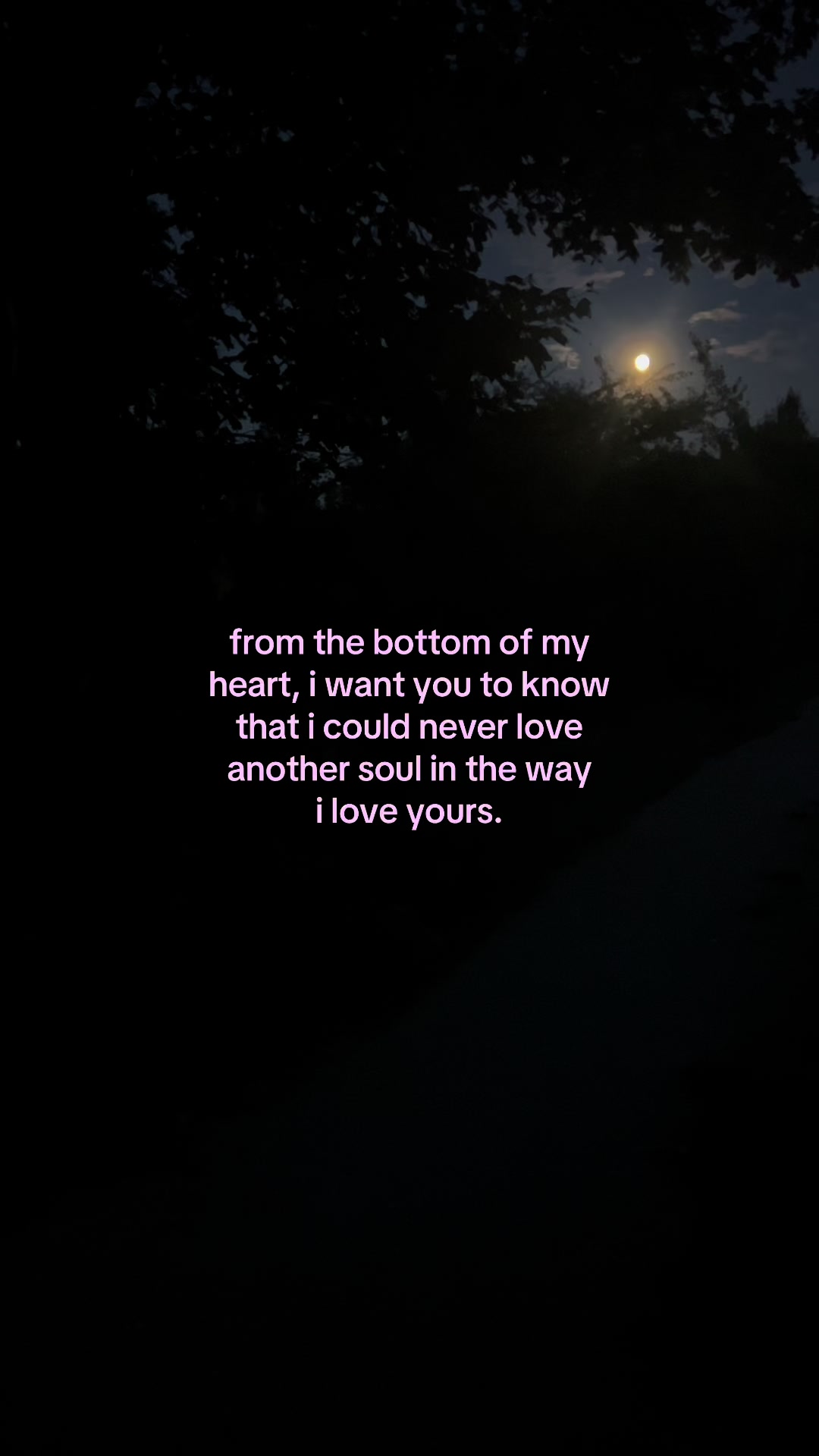 @✧