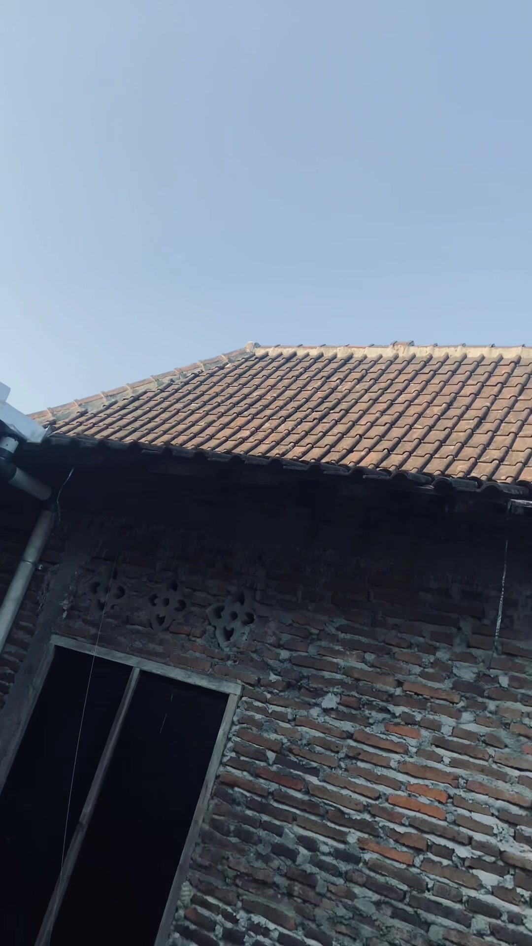 @supramuakk🌬️