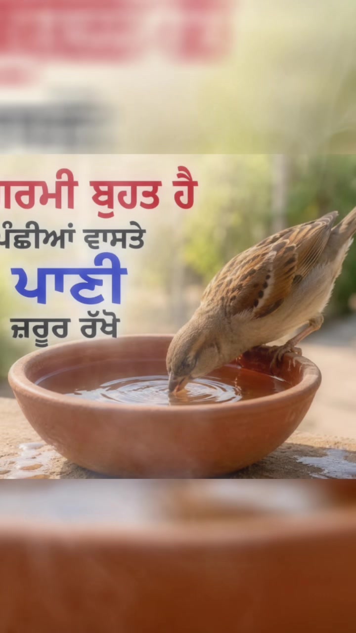 @Darbar Peer Nigahe wala 🙏786