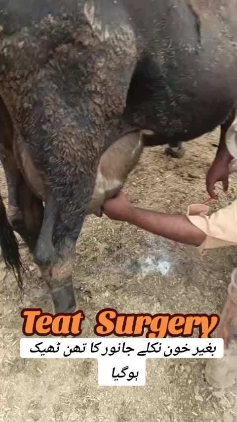 @Dr Mohammad Raza Kachala