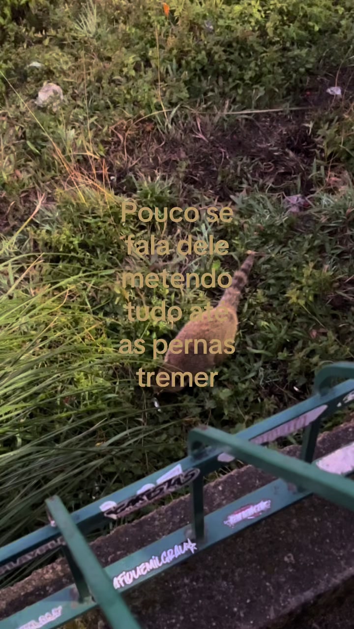 @Petrova 🖤