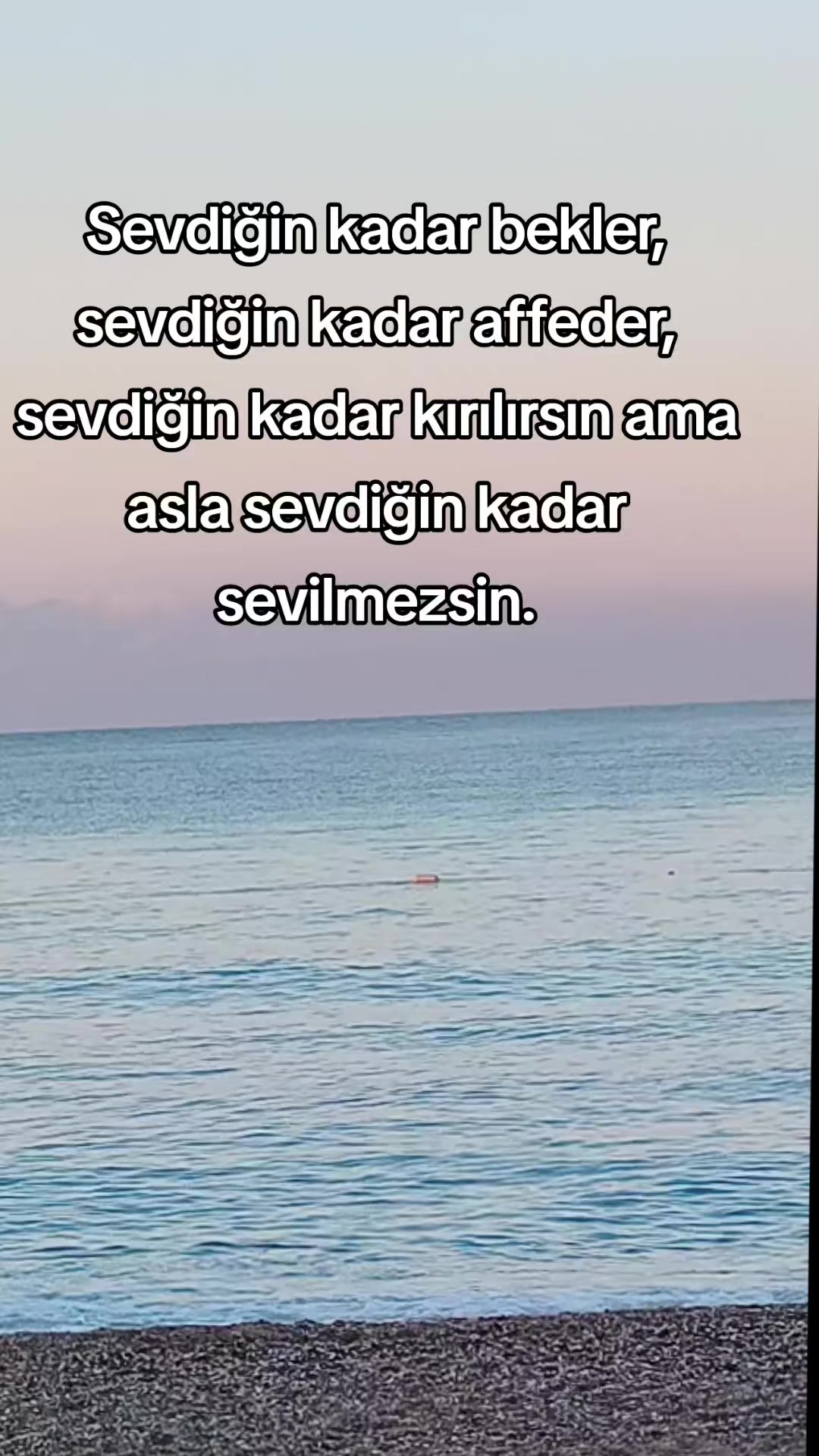 @Mustafa07shn