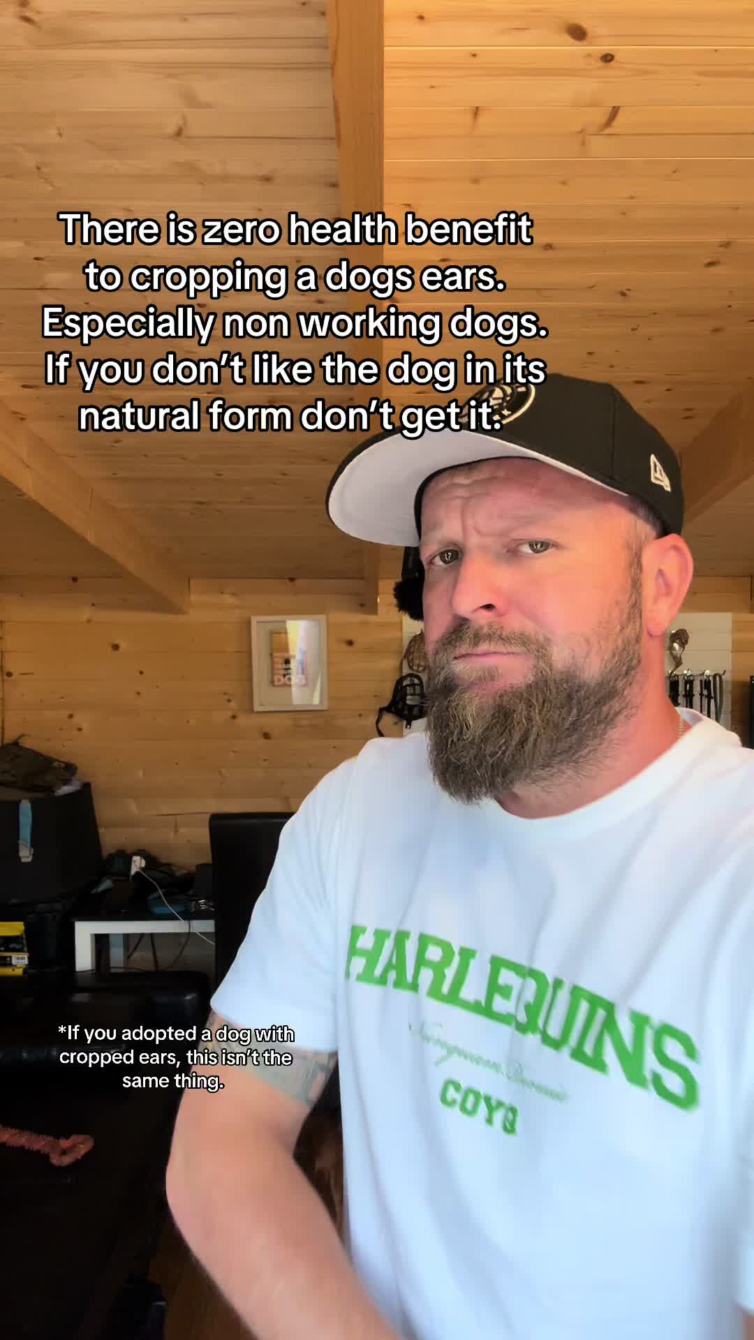 @SouthendDogTraining