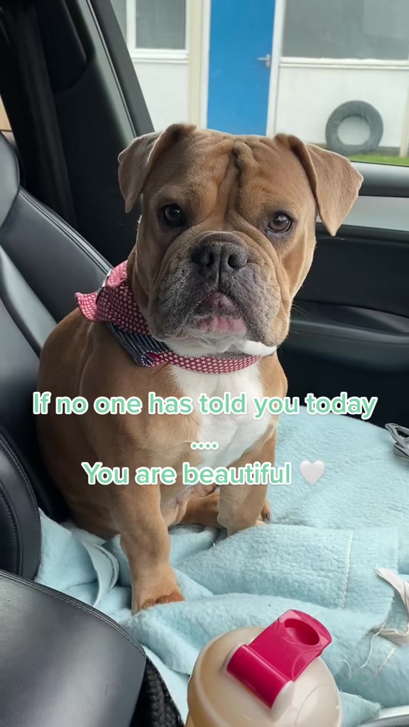 @Buffmammy