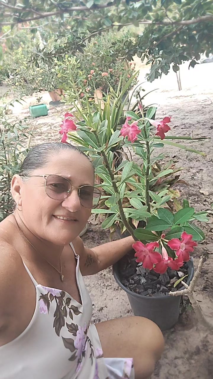 @Rosa De Sá