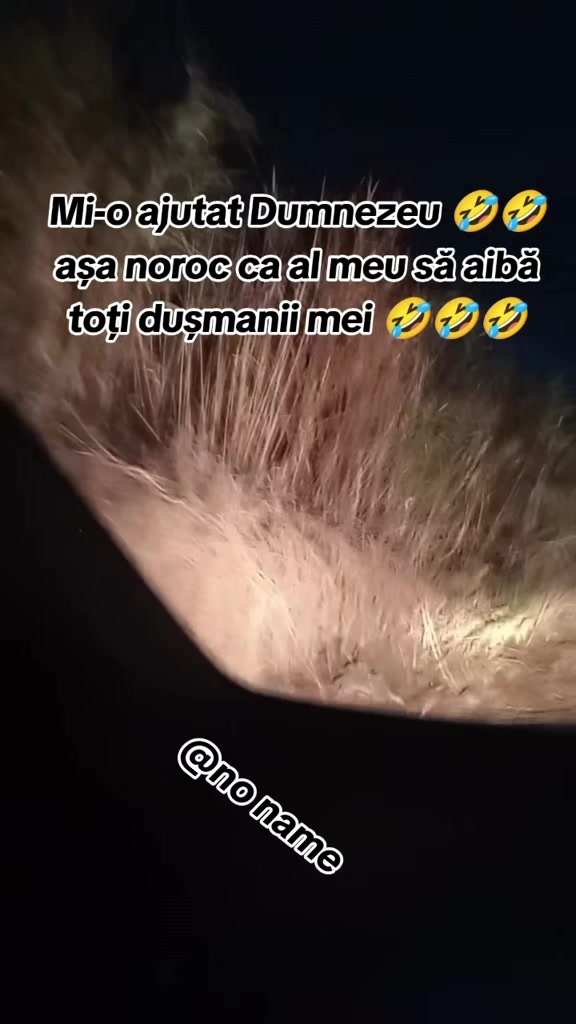 @no name