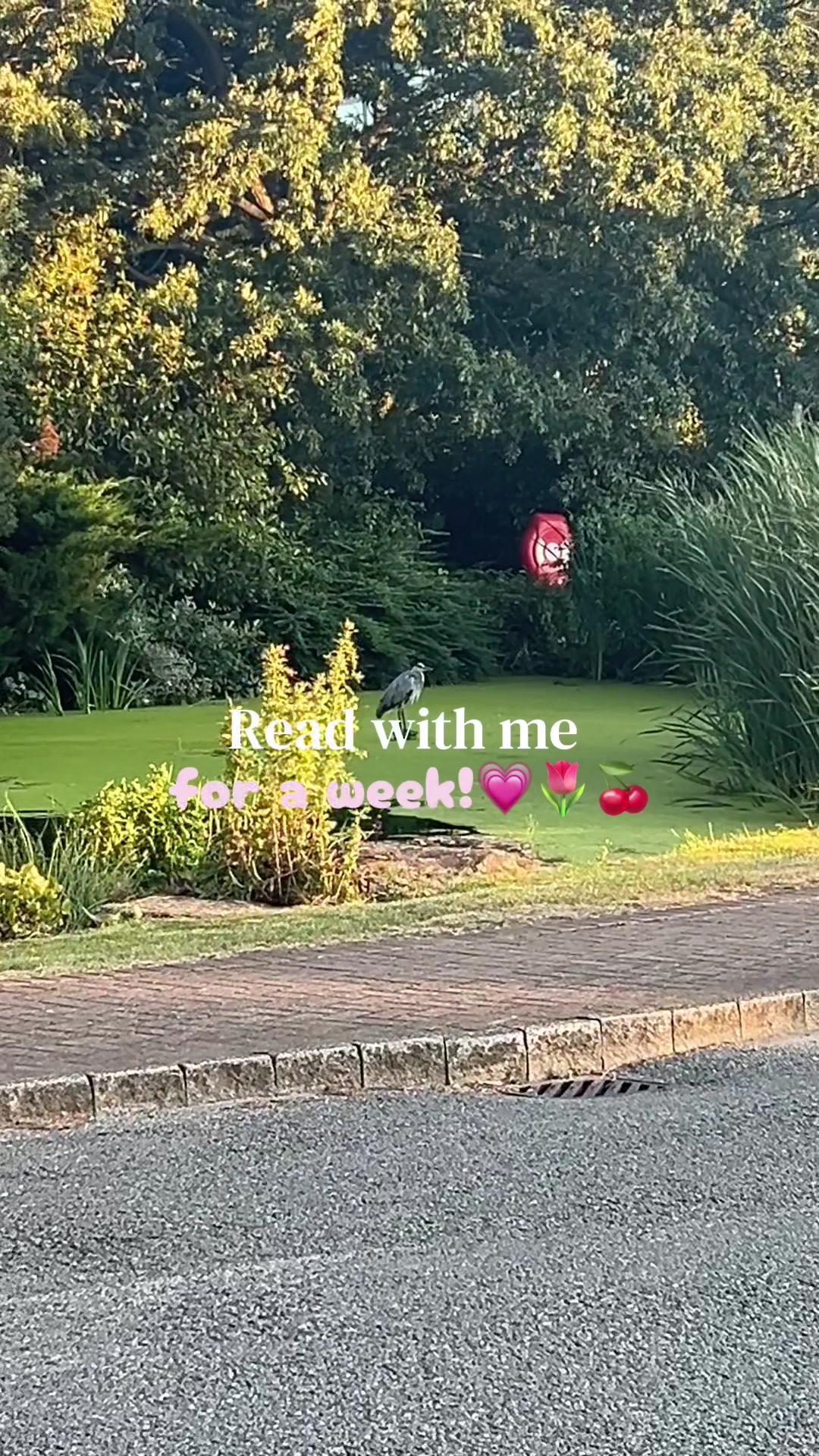 @erinoliviabooks