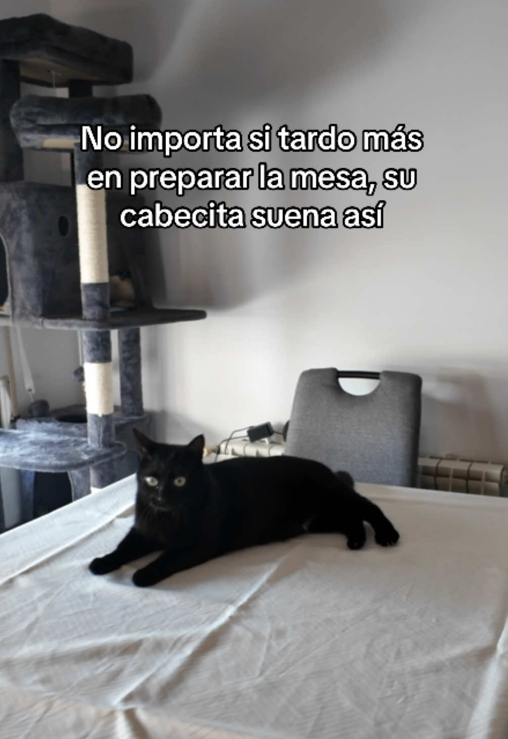 @BlackCatsMatter