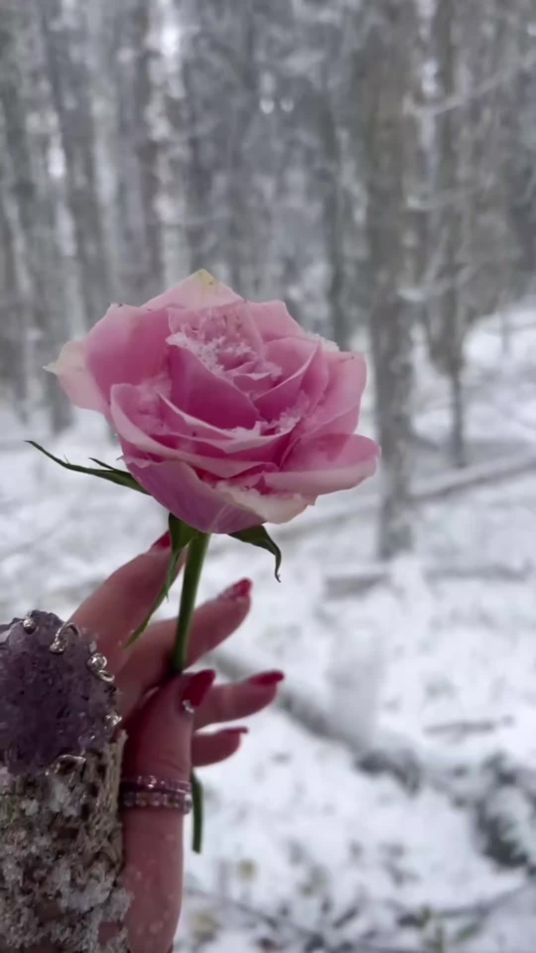 @Ruda12
