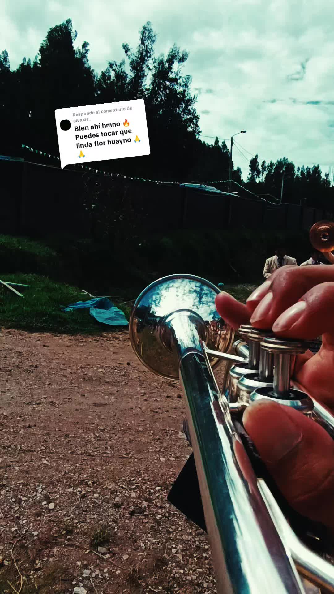 @🎺VERIAO🎺