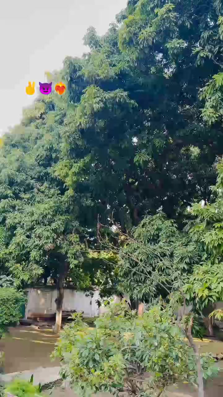 @mian__ali__1🫶
