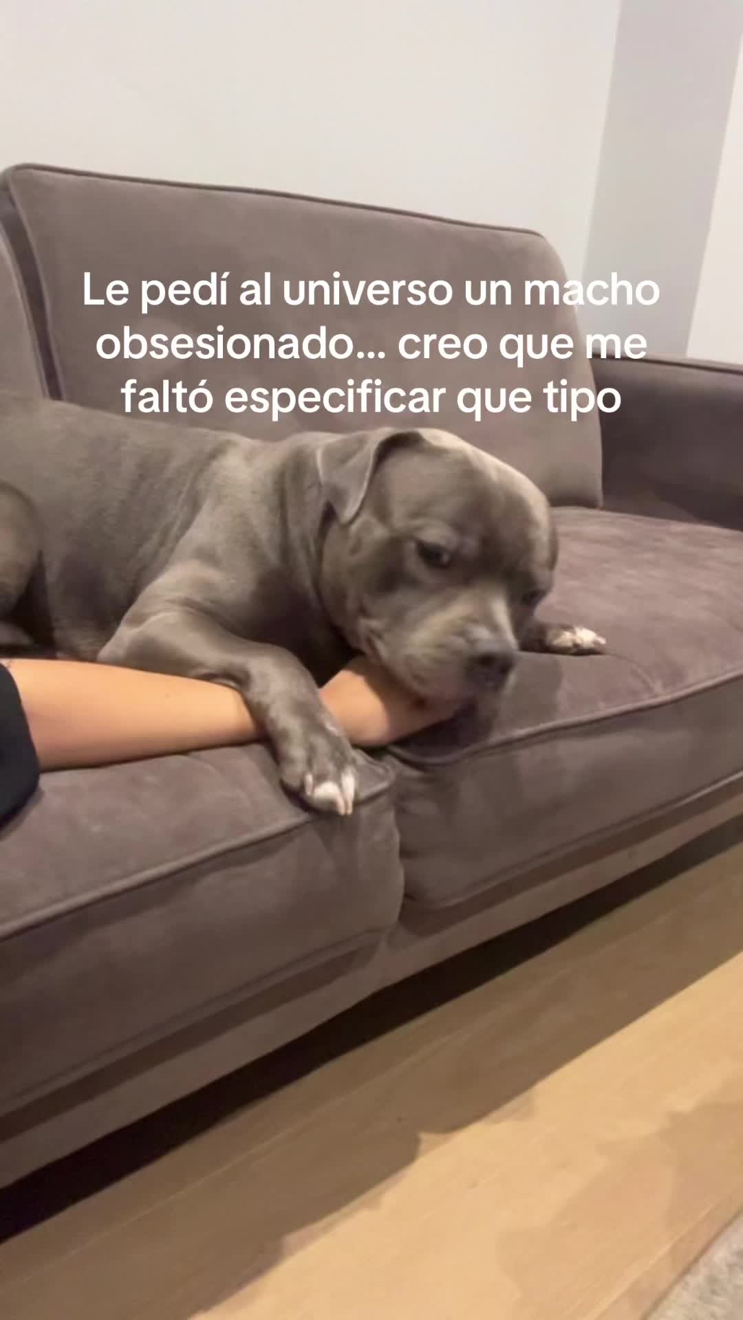 @Laura Melissa ML🕷