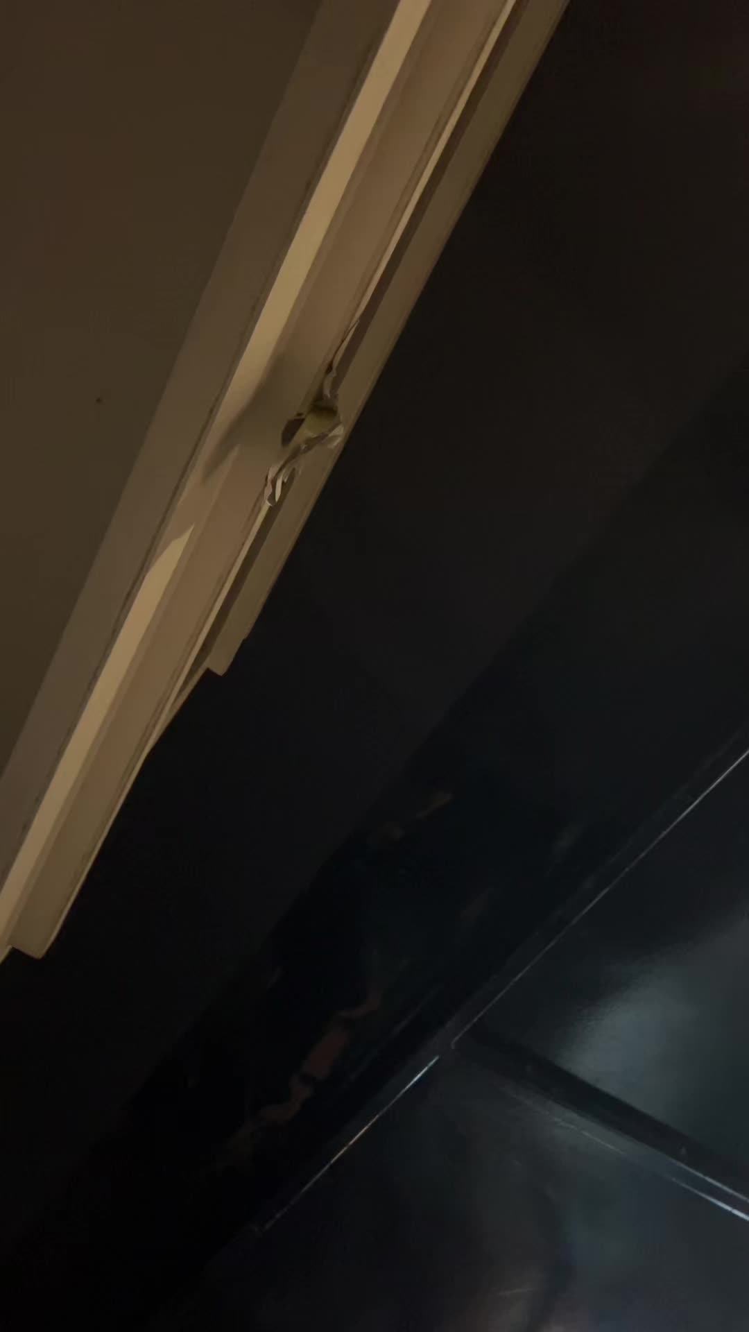 @yayuk