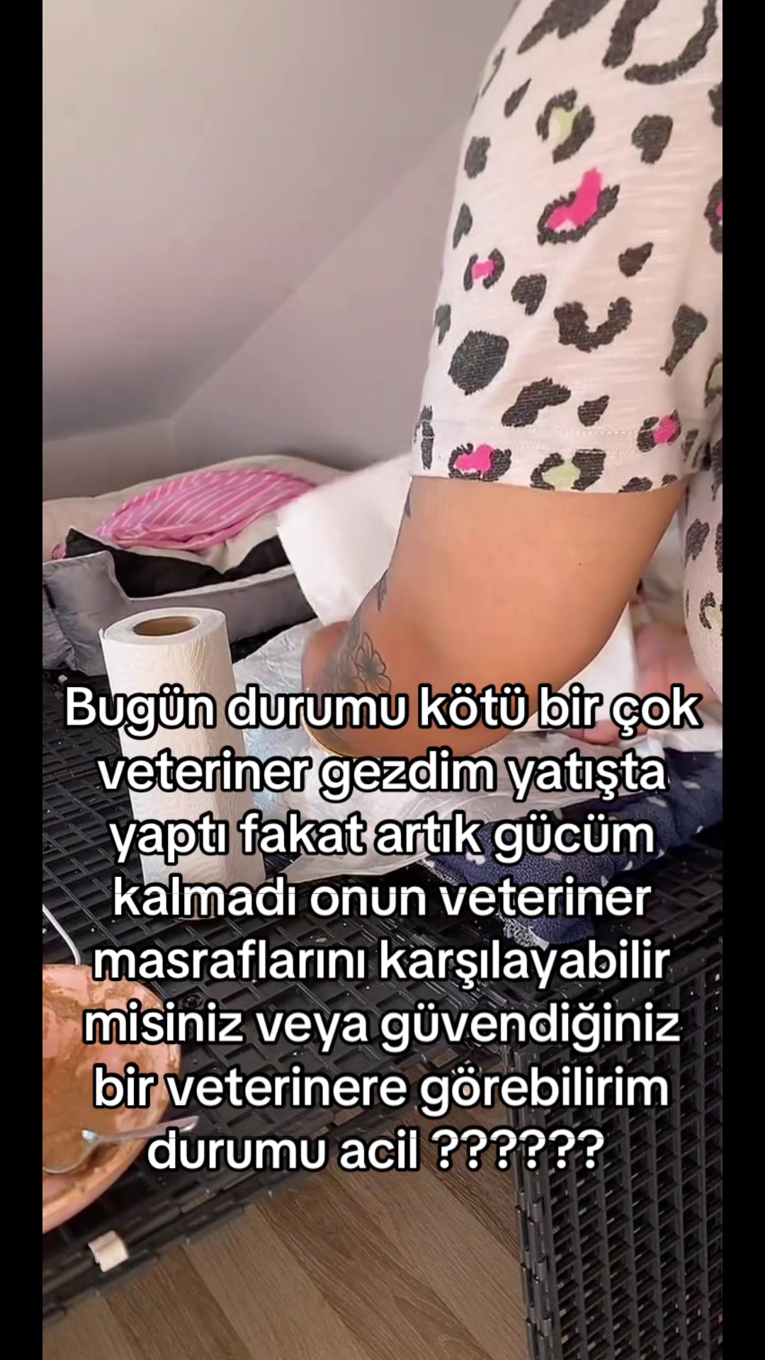 @yudummz_