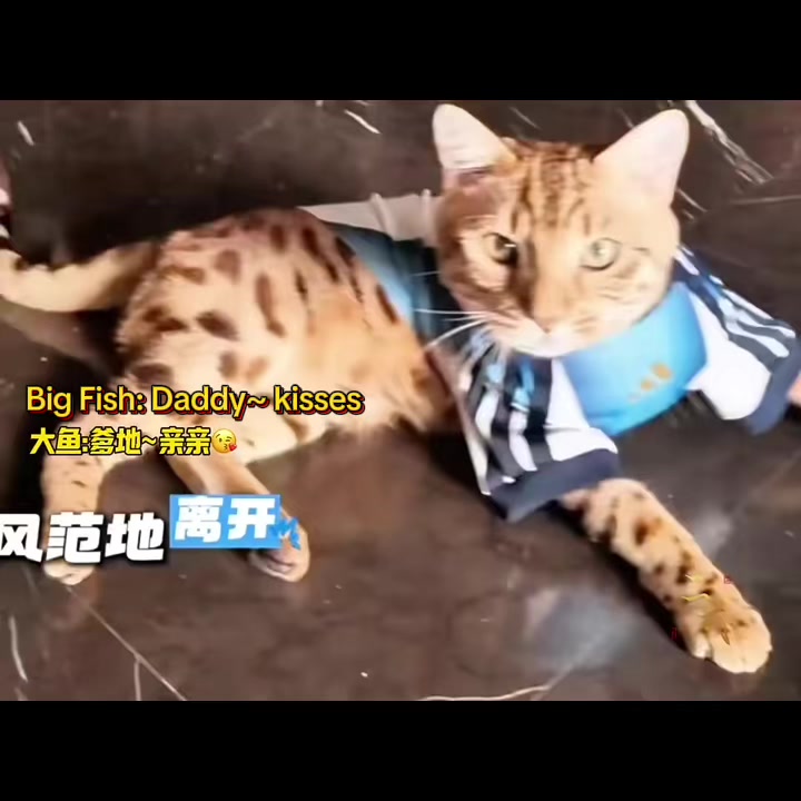 @Tian xuning’s wifey๐จ๐ณ๐ณ๐ฌ๐