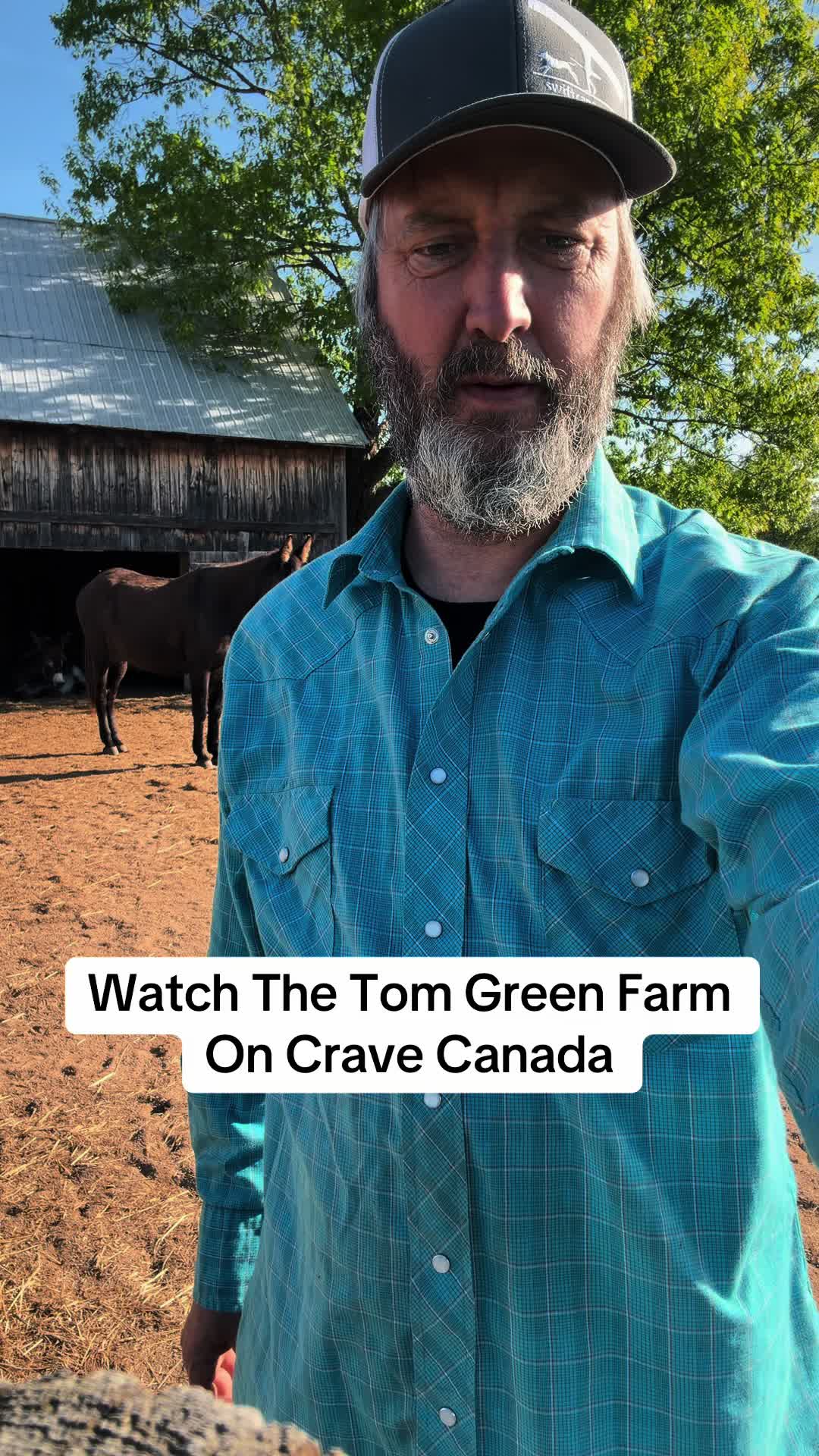 @Tom Green