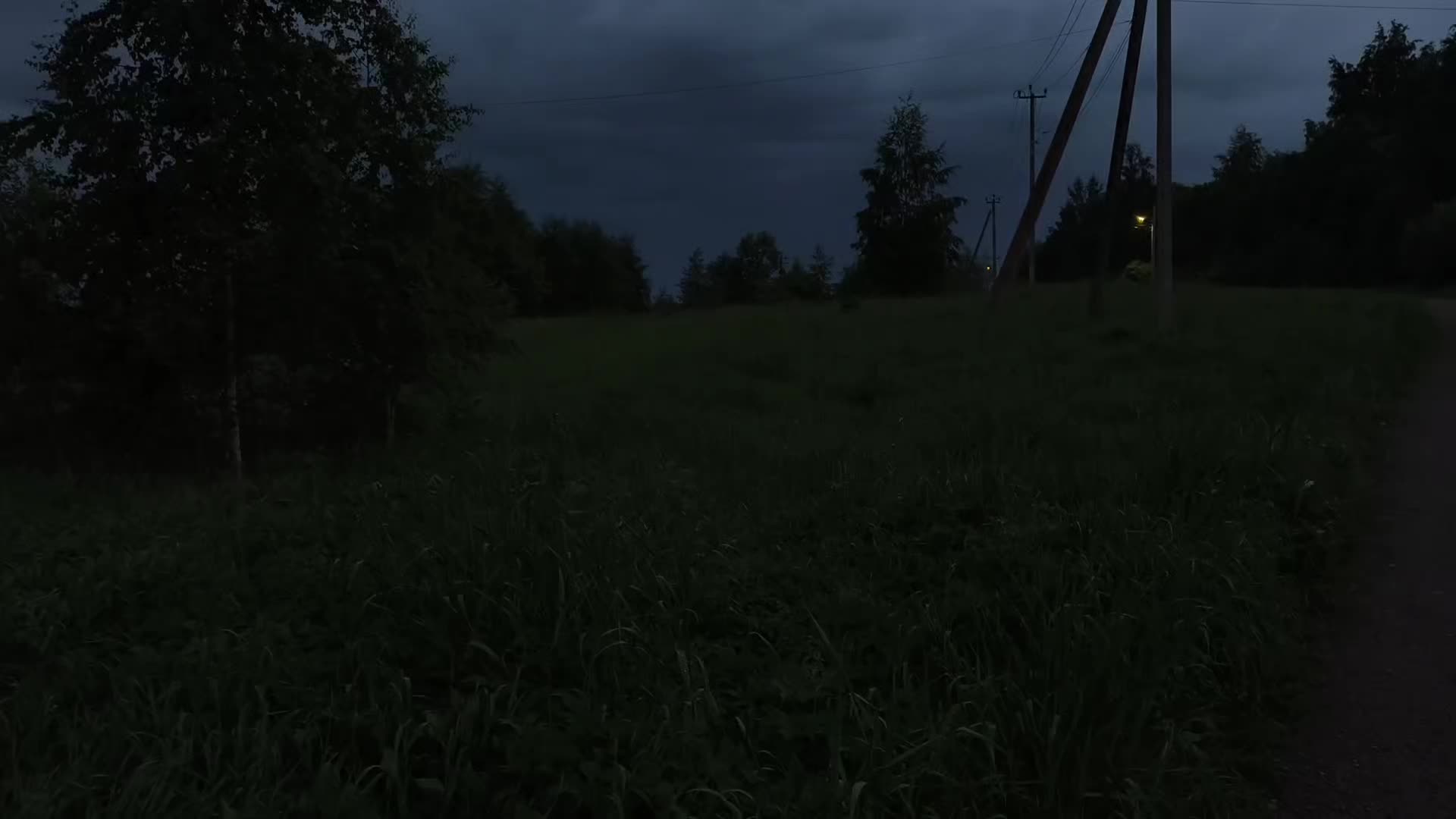 @C u r s e d  L i f e