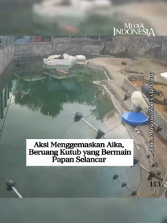 @mediaindonesia