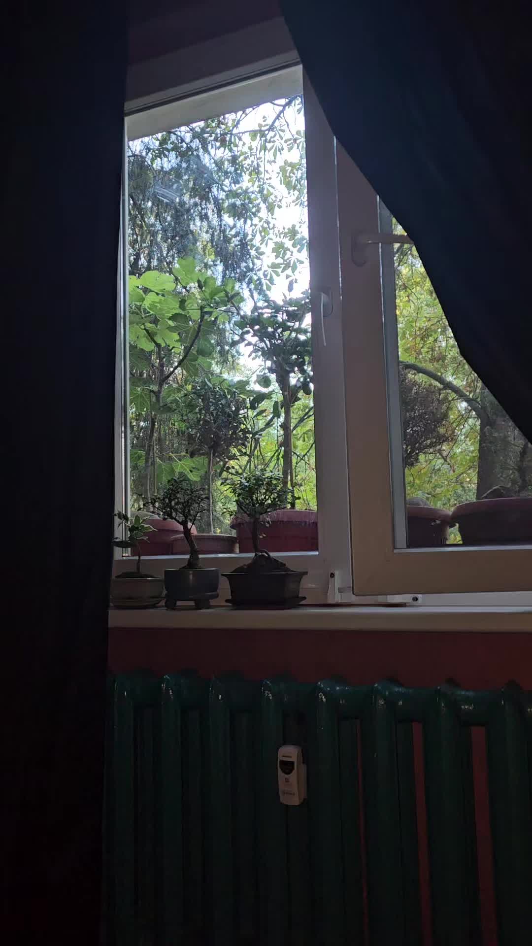 @Нели Манова