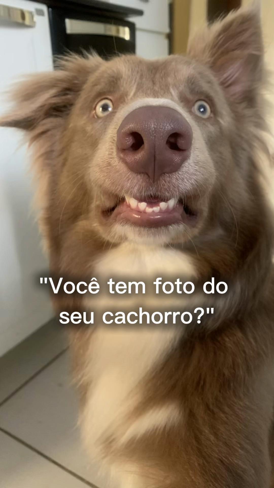 @Nanda Gomez