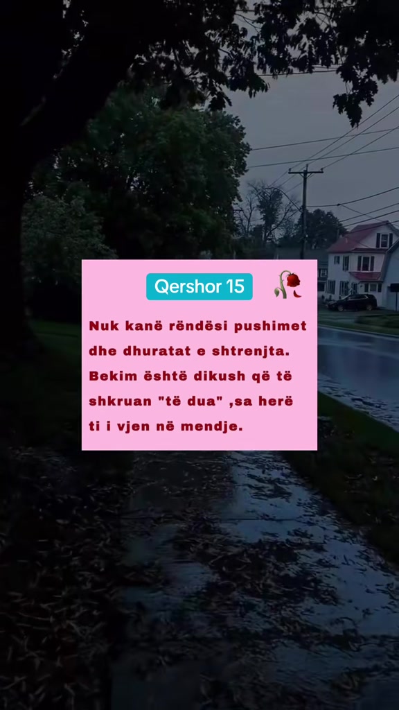 @Thenje&ensp;Per&ensp;Jeten🥀