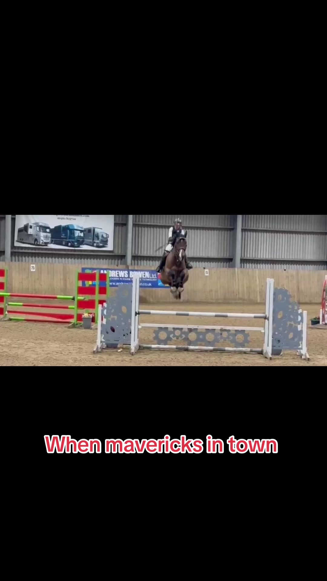 @Ronnie moore's showjumping