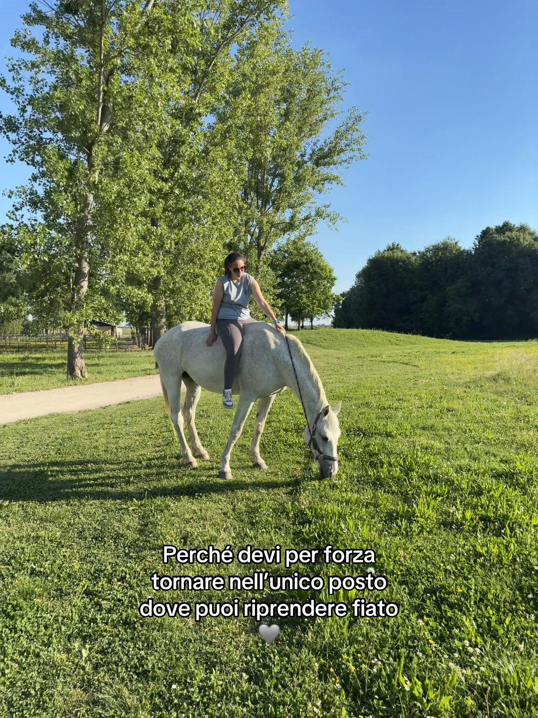 @Marta 🐴