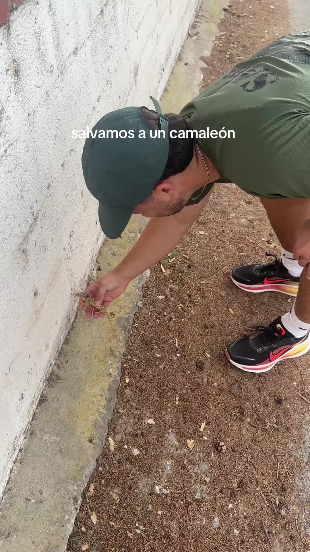 @Rebeca Salado