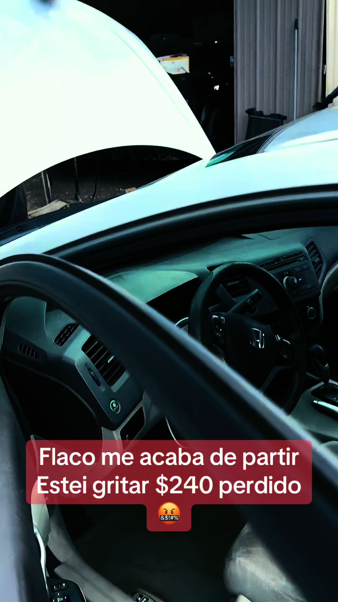 @estarli18