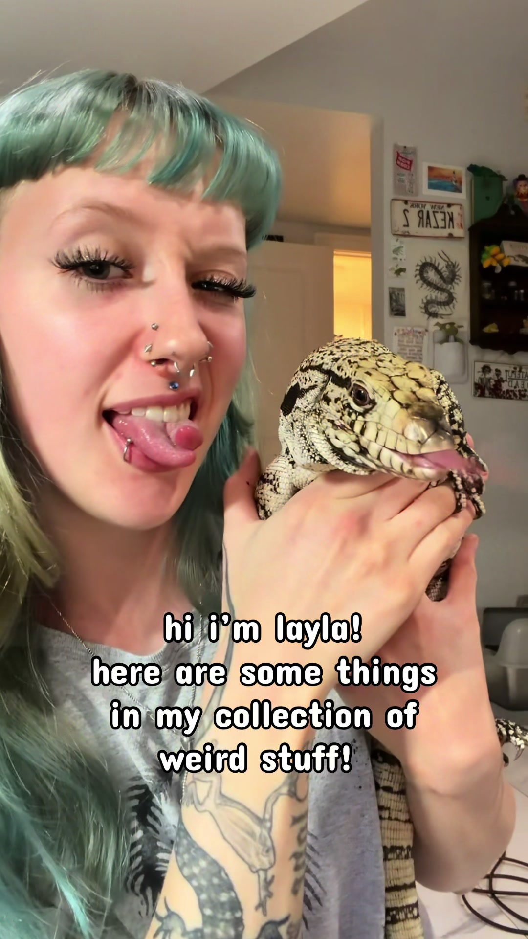 @layla🦎🍃