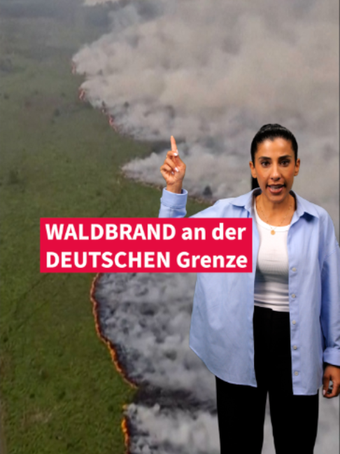 @Frankfurter Allgemeine