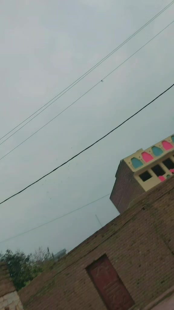 @UmairAfridi821🤬
