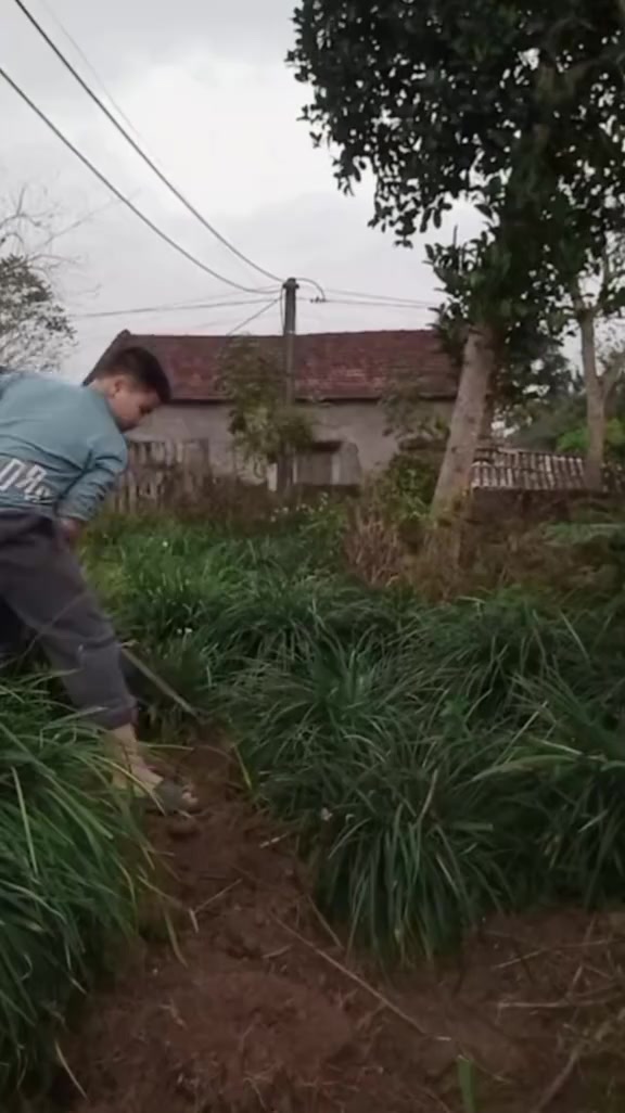 @Đông y VŨ VĂN DÂN