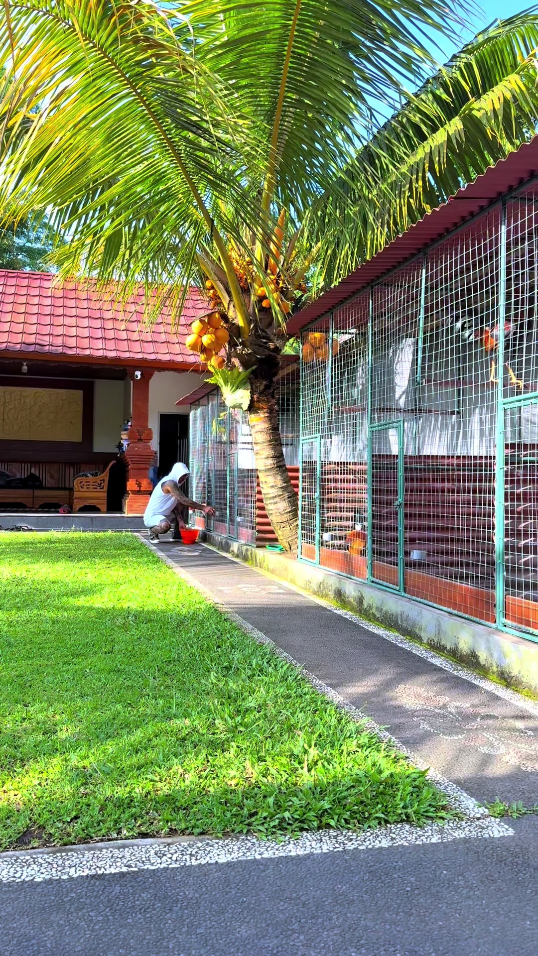 @MANGKU SEKAAN