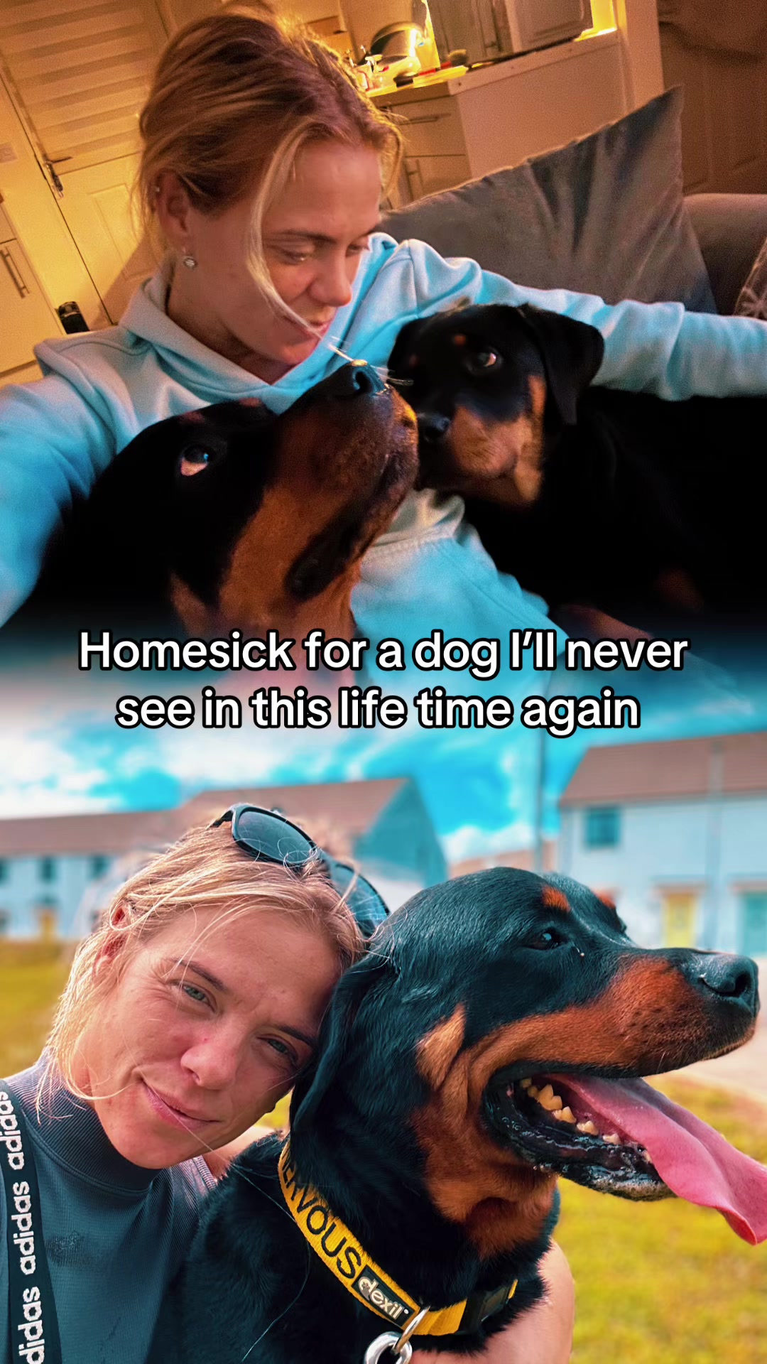 @horsetiktoc