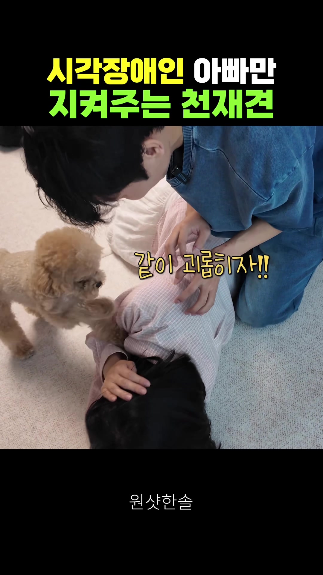 @์์ทํ์๐ถ