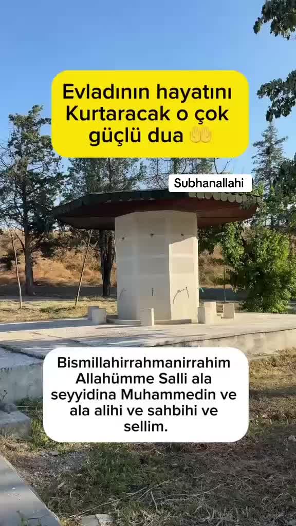 @azaelya
