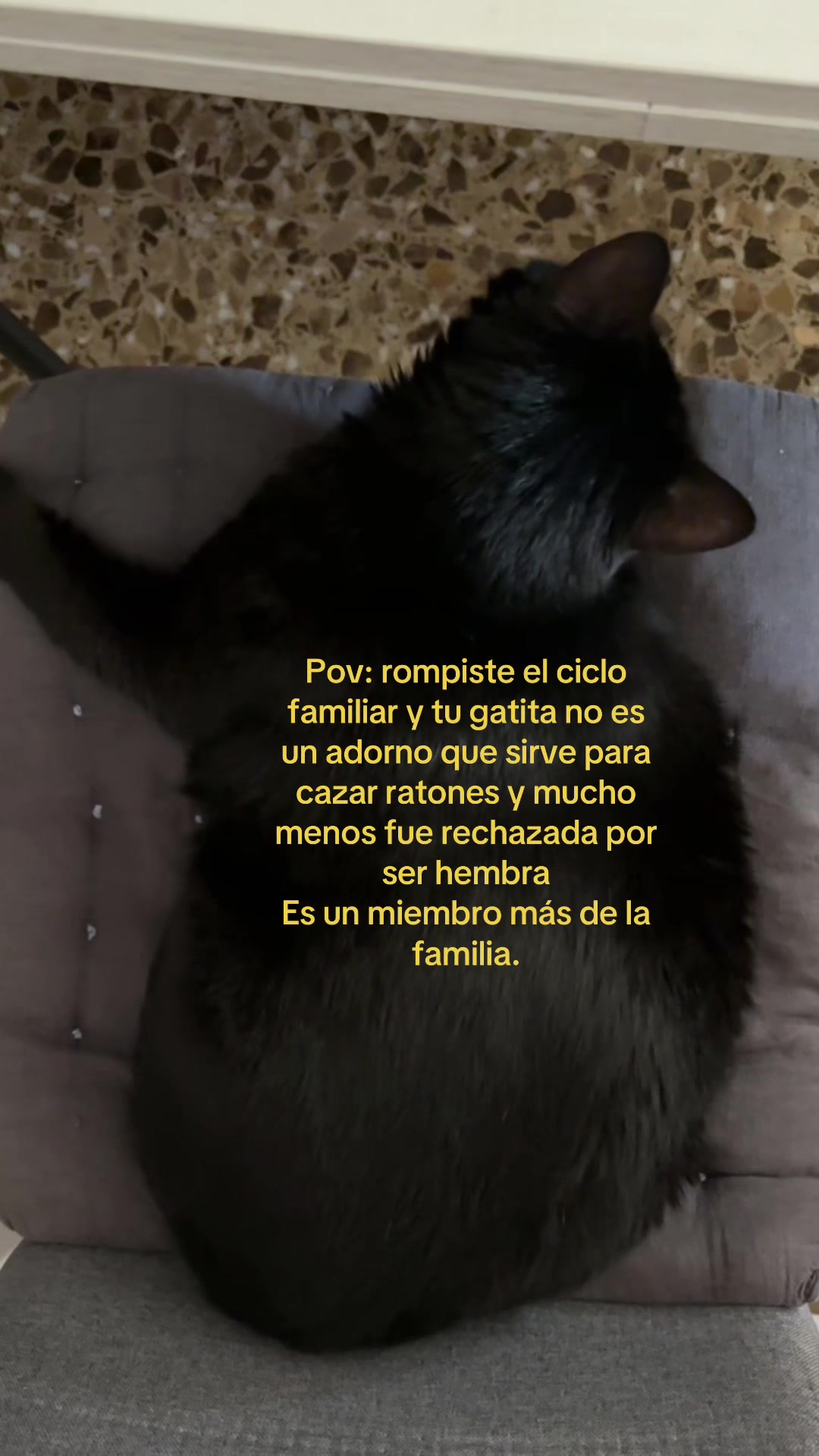 @BlackCatsMatter