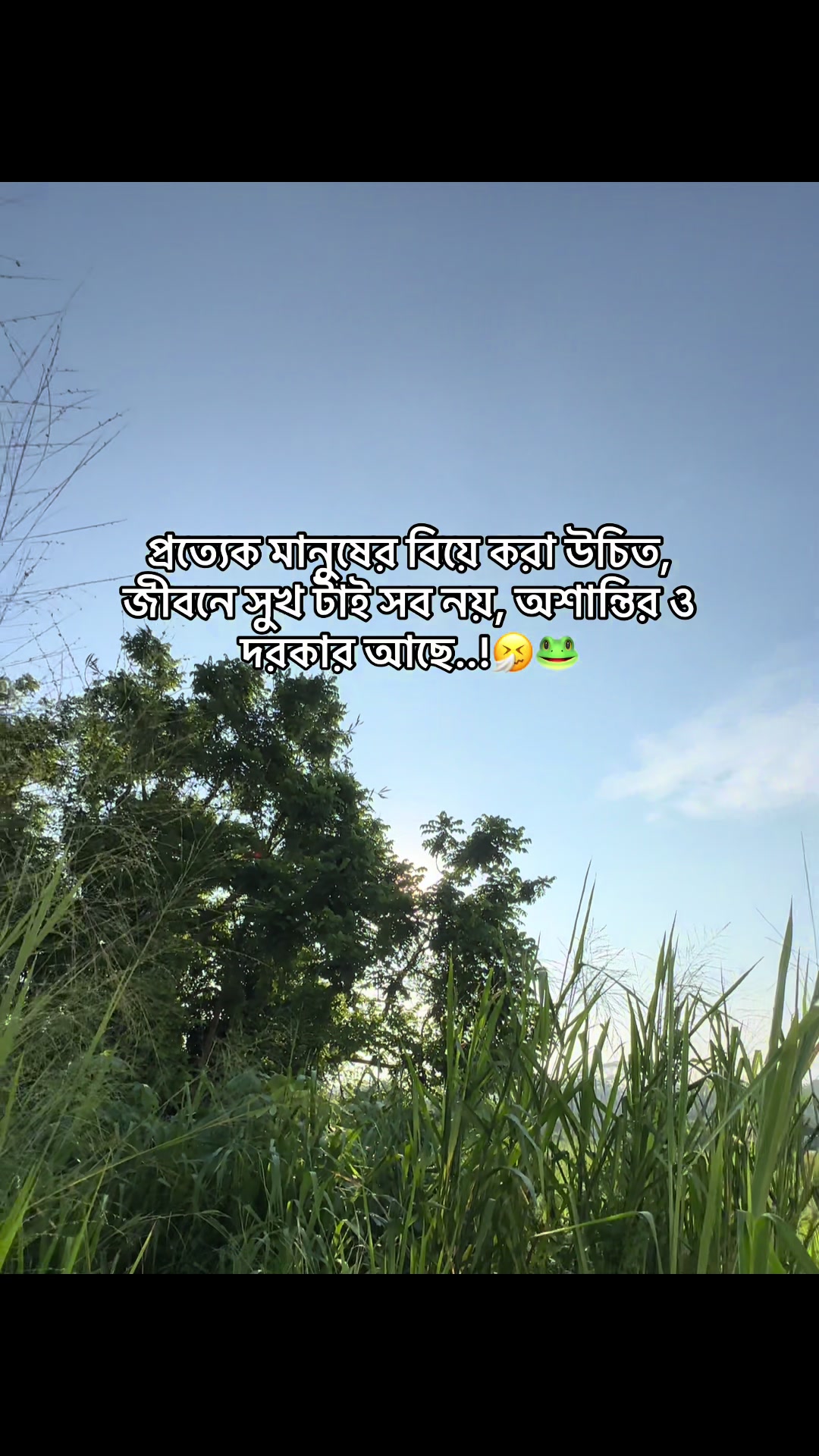 @đ° đĻ đ đ đ đ đ°'âĄ