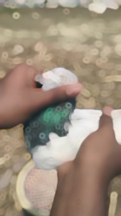 @ðžSouropðž