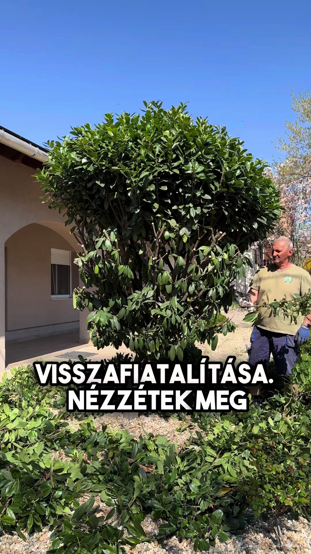 @Jámbor Fanni