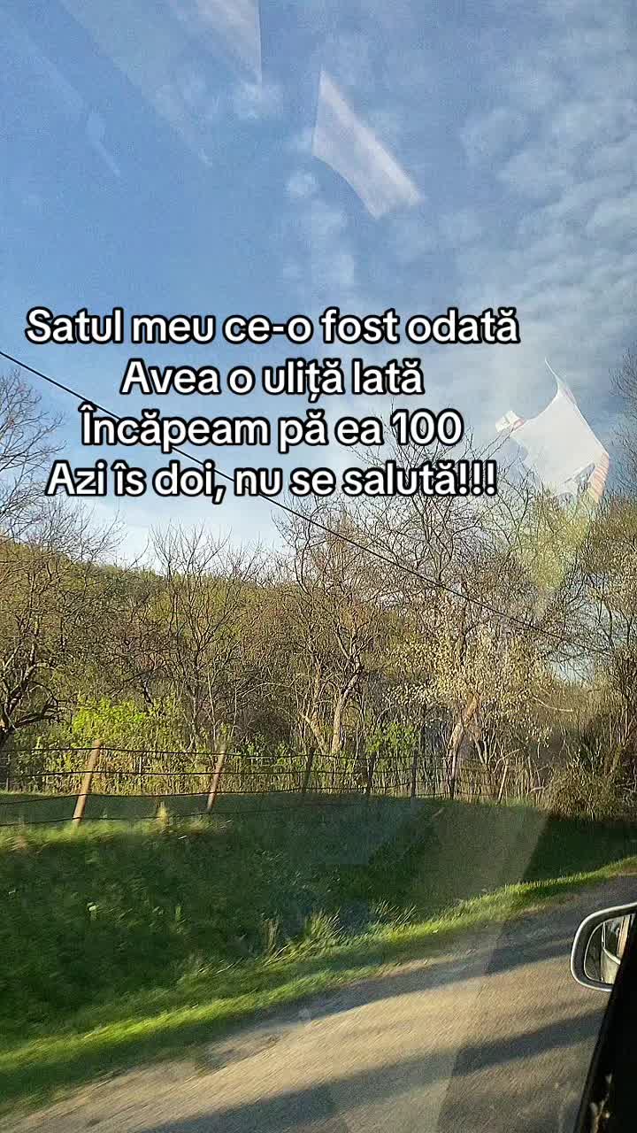 @Monica Trifuț