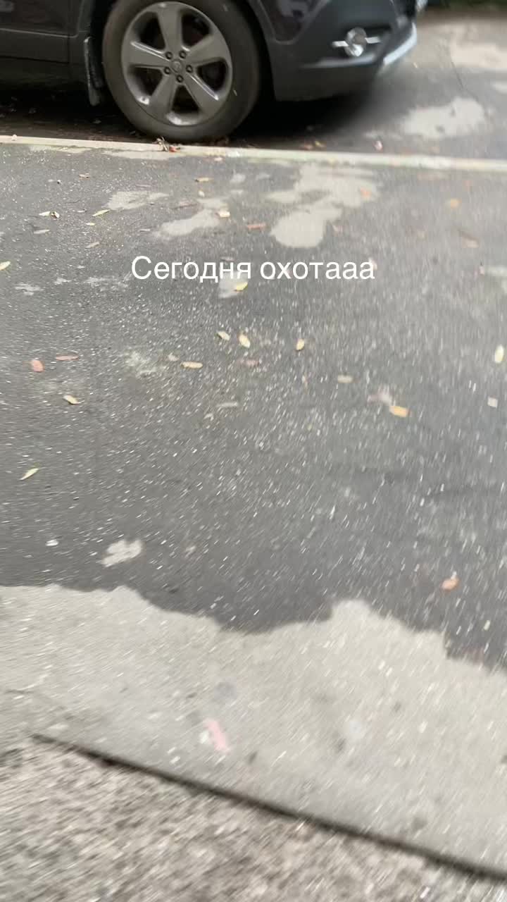 @GGVanillaHP (HOTWHEELS)