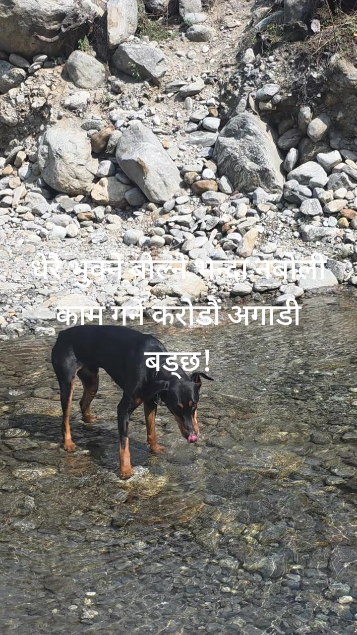 @मनि बान्तावा