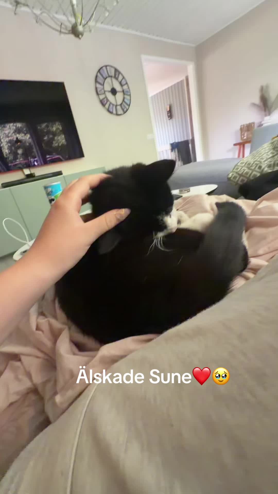 @Andersson❤️✌🏼