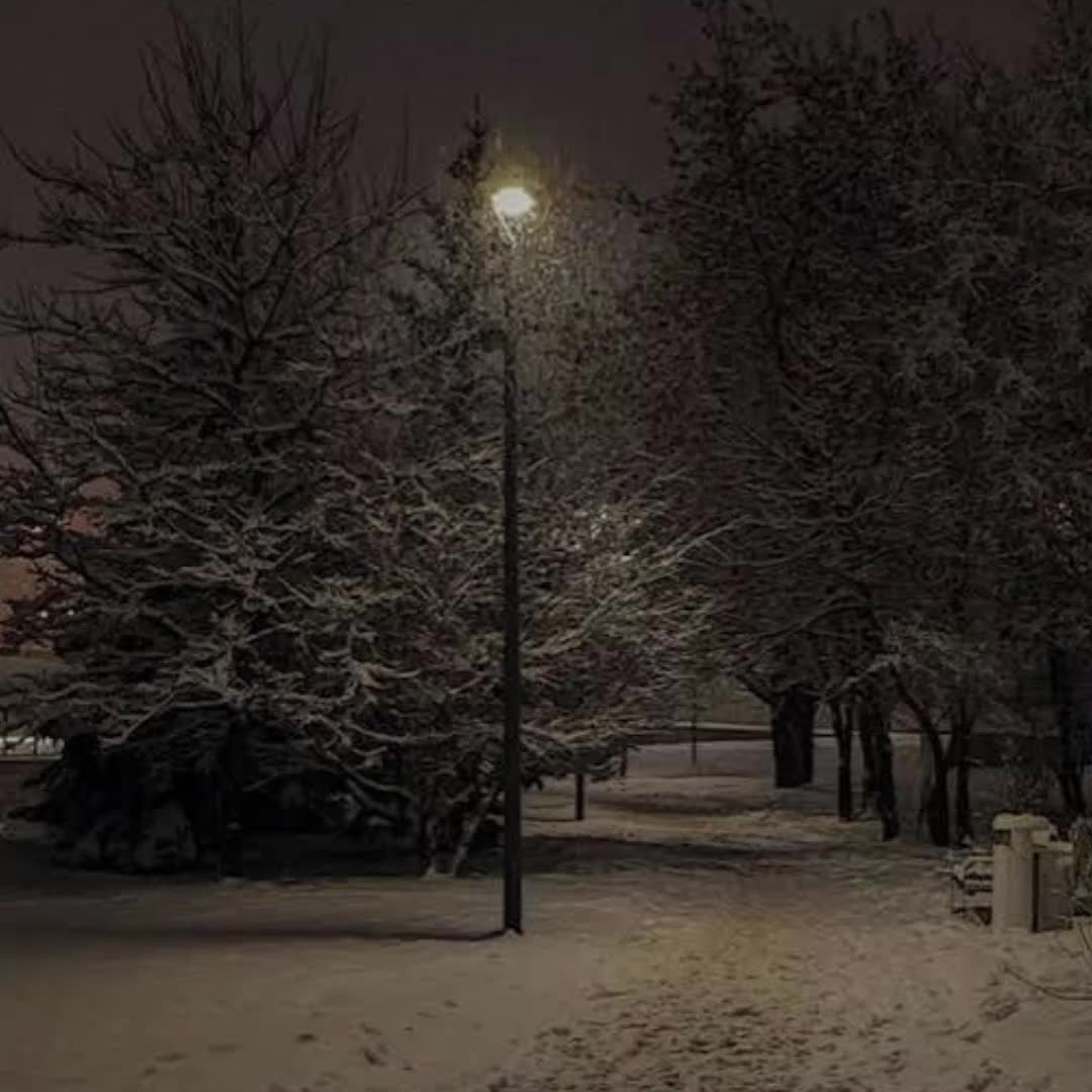 @Winter2021