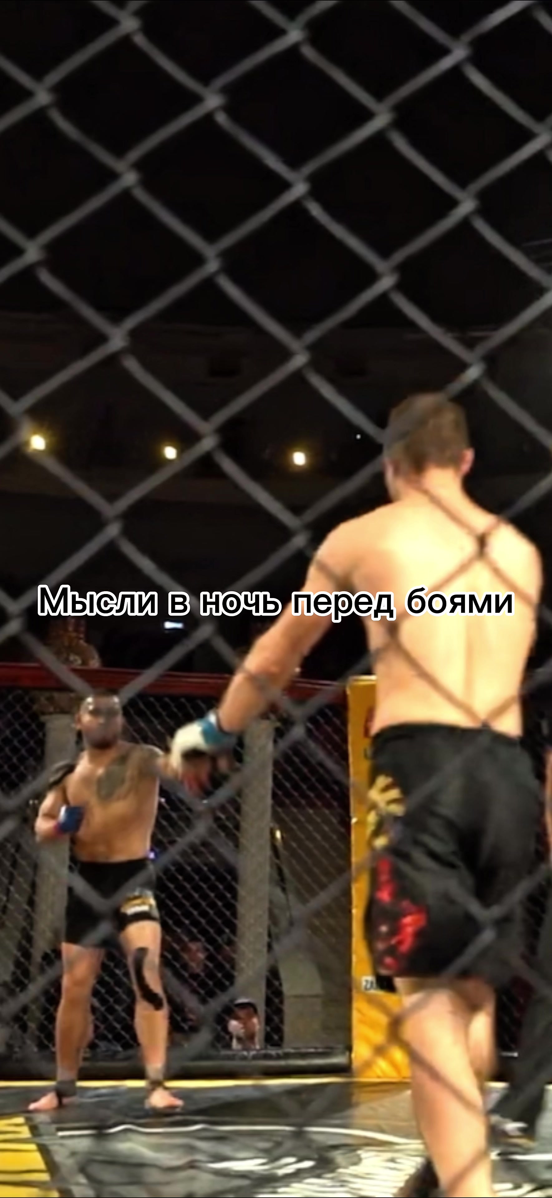 @safarov_elman